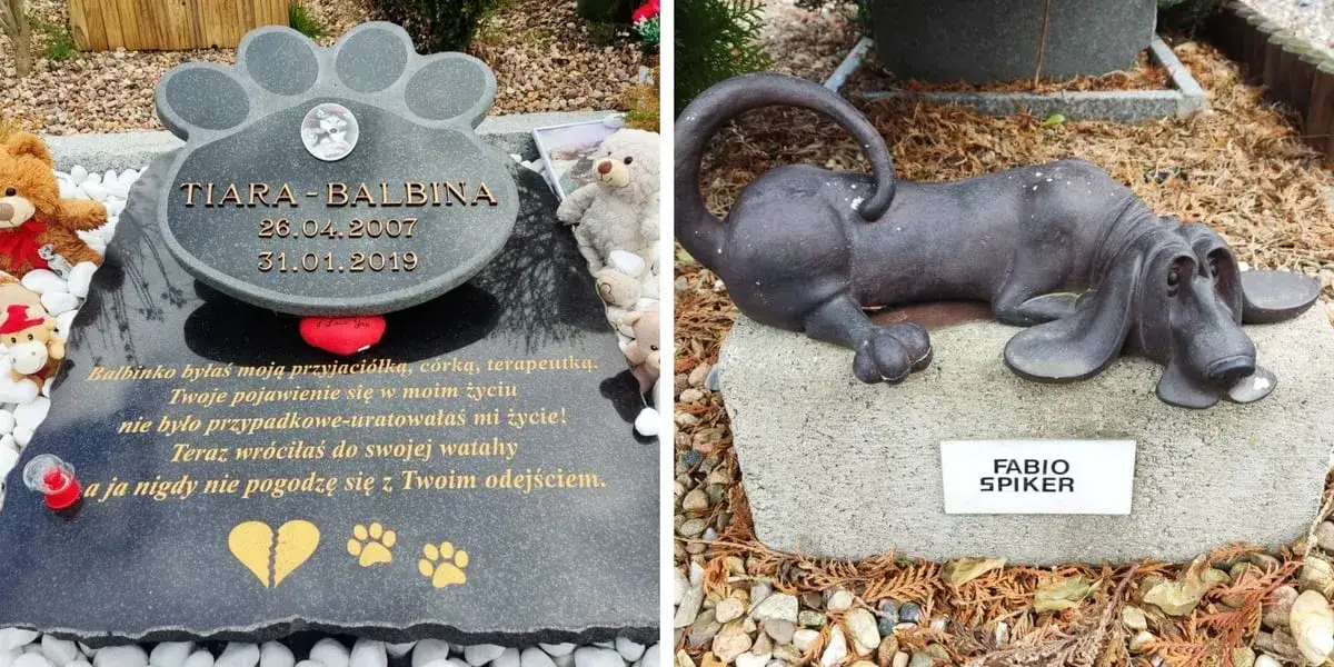 Cmentarz dla zwierząt lub urna z prochami psa