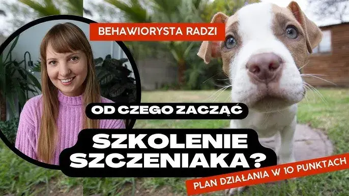 Szkolenie szczeniaka: Praktyczny przewodnik krok po kroku